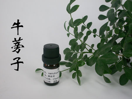 粤渝单方精油商城厂家纯精油正品 牛蒡子油 天然植物精油