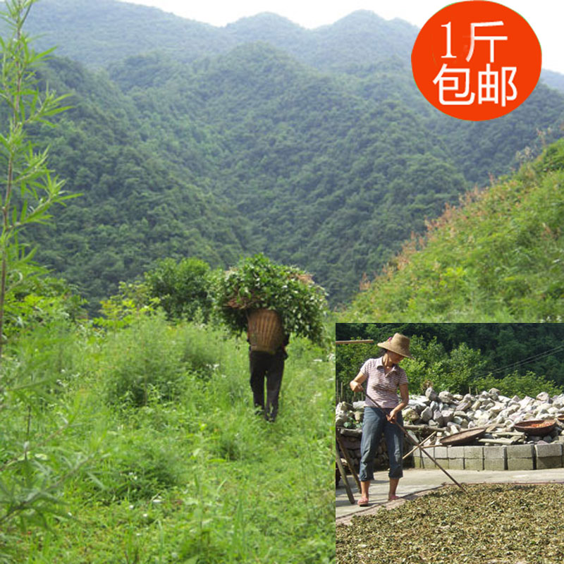 山区野生鱼腥草干茶折耳根中药材 夏天必备100g  1斤包邮