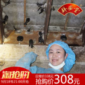 小九里香燕盏 进口孕妇即炖白燕窝12克装 印尼正品 群安堂