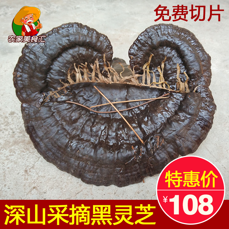深山采摘黑灵芝 野生整枝林芝特级纯天然半野生紫灵芝片500g包邮