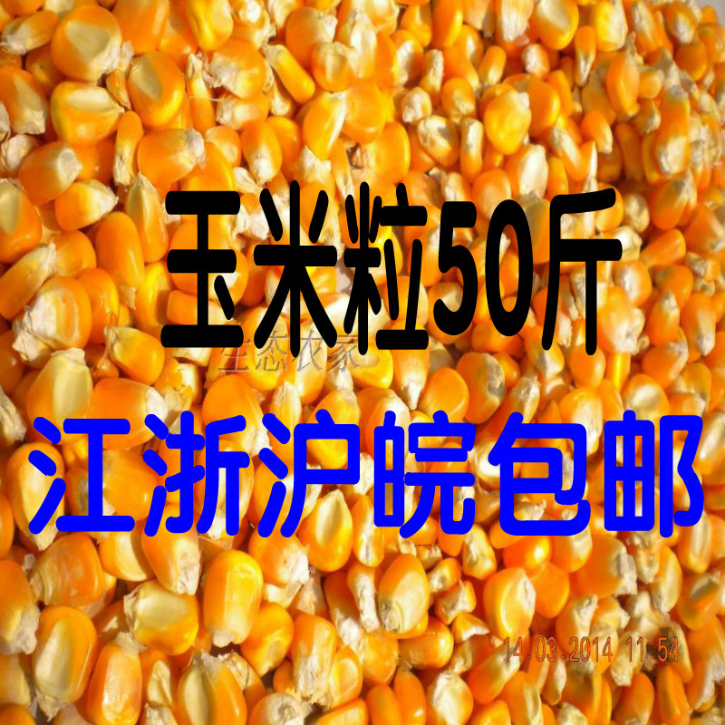 农家干玉米粒玉米籽粗粮玉米鸽粮 鸽子玉米鸡鸭宠物饲料50斤批发