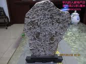饰品砚台摆件—天然原石 莱芜奇石燕子石即三叶虫化石工艺品礼品装
