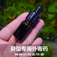 大帆清道夫鱼 异形_大帆清道夫鱼 异形图片素