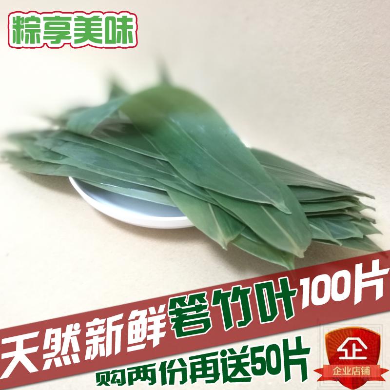 鲜粽叶包粽子的大粽子叶新鲜纯天然粽叶天然箬竹叶100张棕叶免邮