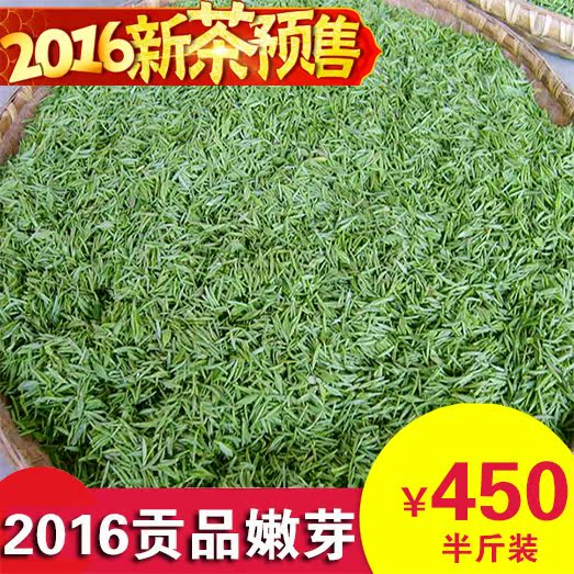 信阳毛尖2016新茶明前贡品特级高山嫩芽绿茶茶叶自产自销春茶250g