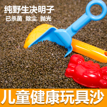 宝宝玩沙子工具家用儿童沙池套餐散装 5斤10斤批量发 决明子玩具沙