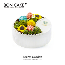 彩虹生日蛋糕北京上海天津沈阳哈尔滨同城配送 多肉 CAKE BON