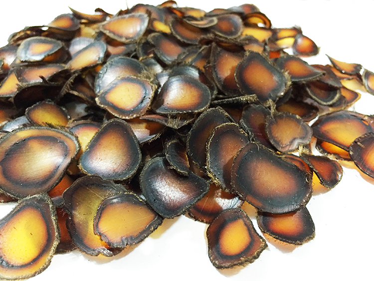 东北头茬梅花鹿鹿茸全蜡片 非血茸骨白粉红粉片半腊片鹿茸蜡片1克