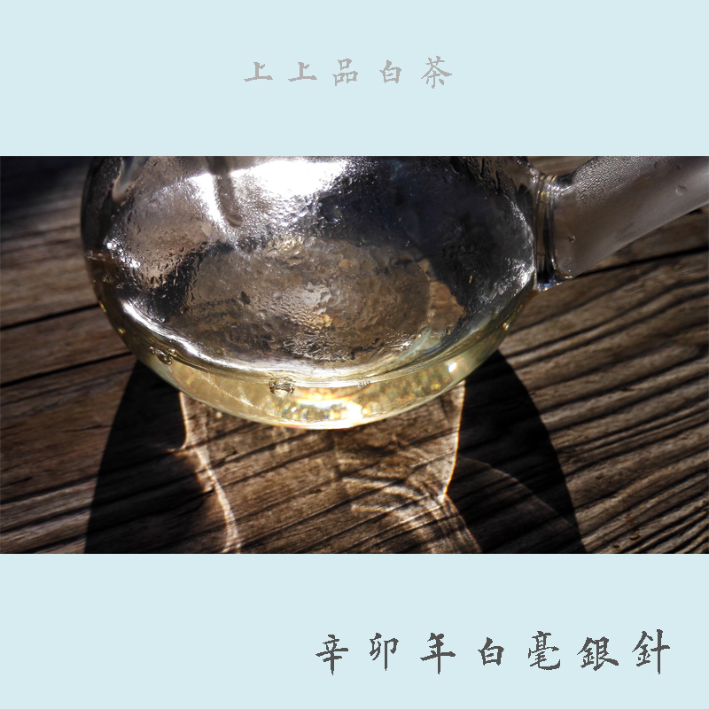 12年白毫銀針 传统工艺 自然陈化 上品白茶 可珍藏传世 100g