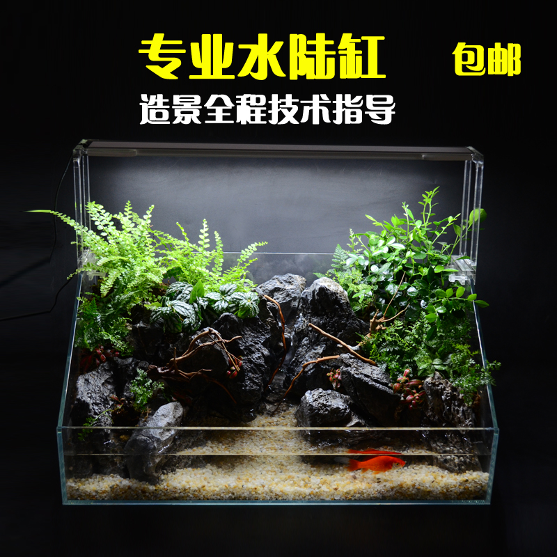 水族箱鱼缸 水陆缸造景定做微景观缸 苔藓缸超白草缸办公室生态缸