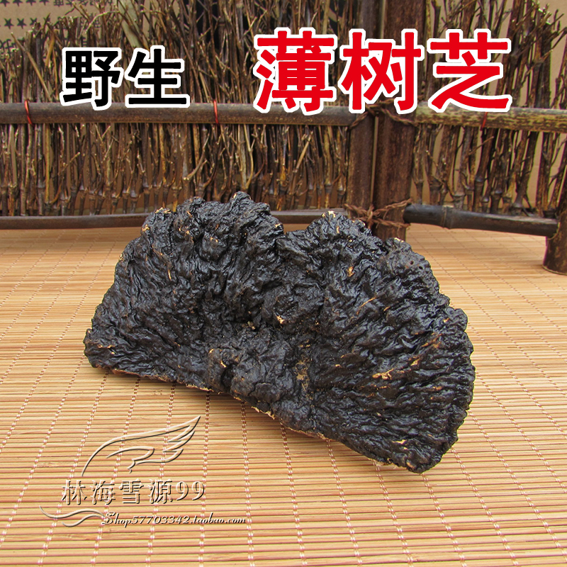 精选纯野生薄树芝树灵芝 薄树层孔菌 薄树林芝 切片磨粉500克包邮