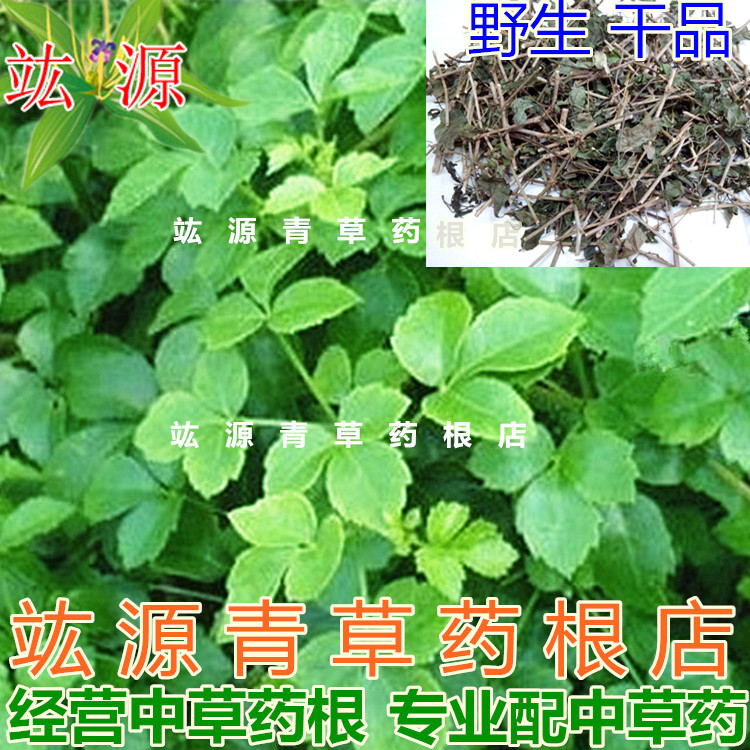 竑源青草药根店野生苦刺叶苦刺根白簕花白簕白刺根三叶苦刺心干货