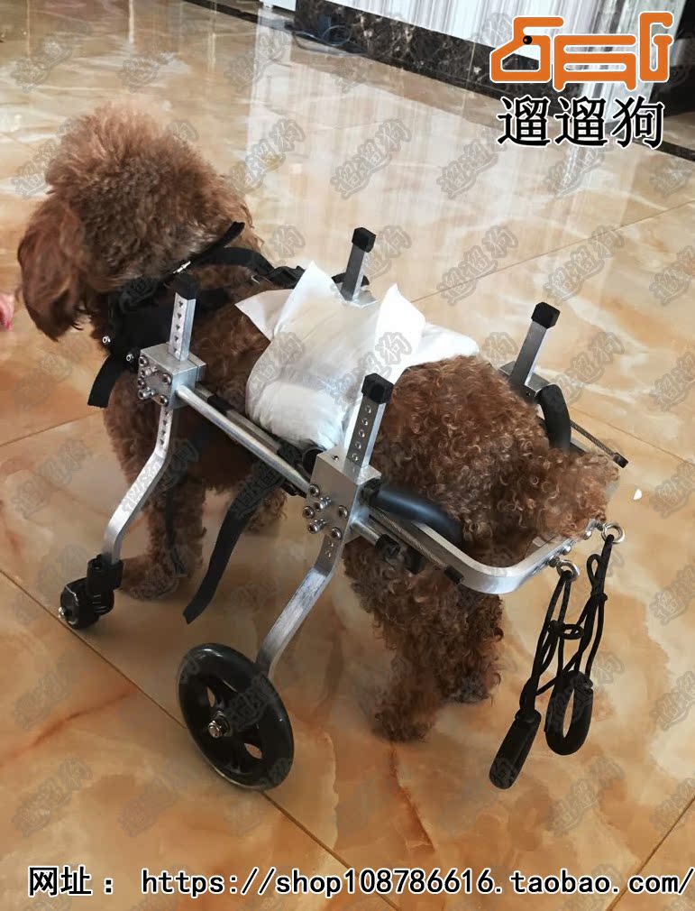 新宠物车/猫轮椅/小动物轮椅/残疾猫车/狗腿骨折车/后腿用轮椅xs
