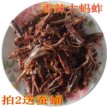 舌尖美食沂蒙特产油炸香辣大蚂蚱昆虫蝗虫蚱蜢小吃美味拍2送蚕蛹