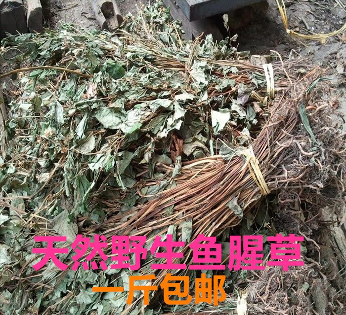 乐昌深山正宗野生鱼腥草干狗叠耳折耳根叶鱼腥茶狗心草500g包邮