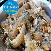 双氙论坛 汽车灯光升级 汽车照明 金牌改装店 我要改灯 汽车改装配件