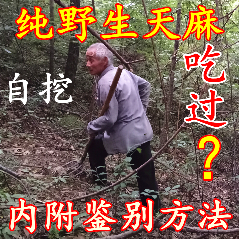 比云南野生天麻好 神农架深山自挖无硫干天麻纯野生天麻250克包邮