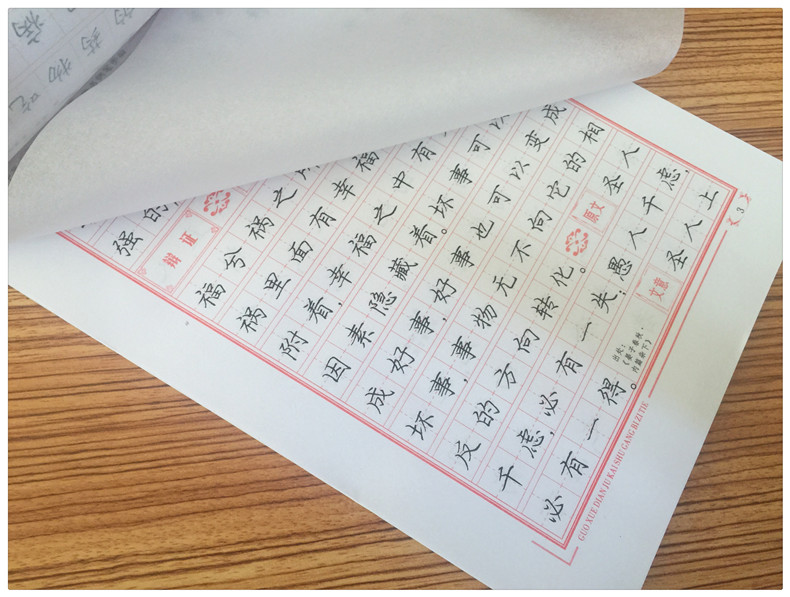 庞中华钢笔楷书帖硬笔书法 正楷临摹硬笔字帖 楷体成人楷书练字 钢笔