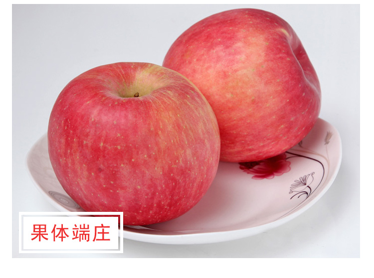 正品[烟台日语翻译]烟台日语翻译招聘评测 烟台