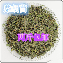 中药材柴胡苗新货 精选500克 春柴胡苗 散装促销 2件包邮