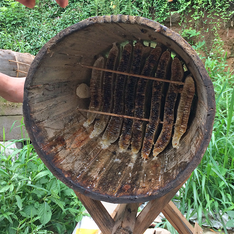 圆土蜂桶诱蜂老杉木蜂箱蜜蜂桶箱野密成品优质养峰工具中峰桶包邮
