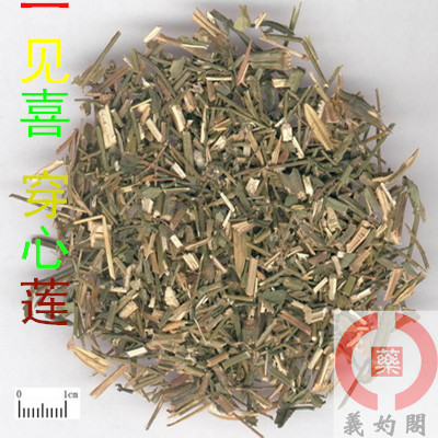 义妁阁中药材 穿心莲 一见喜 苦胆草 四方莲 500克包邮