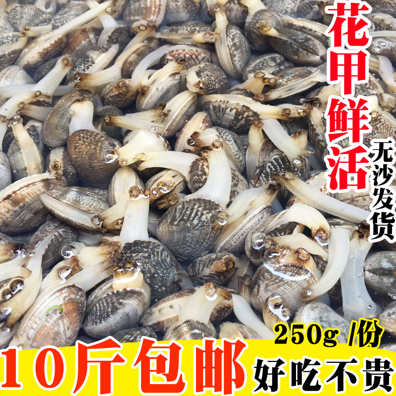 鲜活花甲海鲜水产新鲜花甲鲜活花蛤蜊干贝类海鲜花蚬子肉10斤包邮
