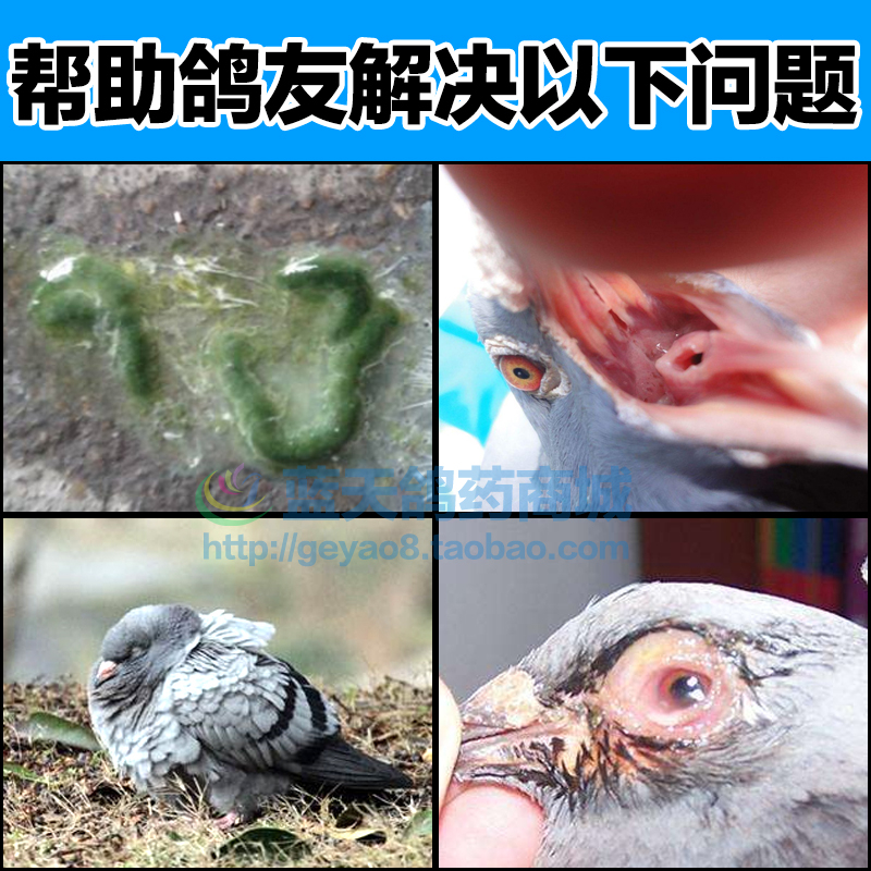 查看淘宝鸽子药赛鸽信鸽呼吸道特效痰丝白点水绿便呆立流泪治疗格莱德