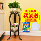 欧式铁艺花架多层绿萝吊兰客厅阳台地面室内仿守净ㄅ杓苈涞鼗架