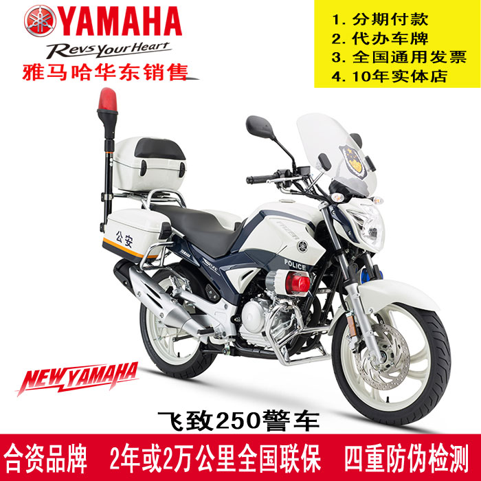 yamaha雅马哈飞致250cc骑士车进口车摩托车街车跑车迷你 带办车牌