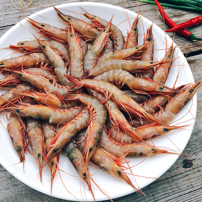 宁波象山特产新鲜冰冻海鲜东海野生海虾青壳滑皮虾 硬壳虾 活皮虾