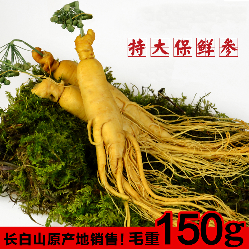 新鲜人参保鲜人参东北特产大泡酒白参 长白山泡酒药材