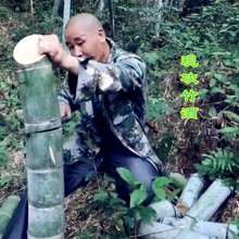客家特产裸瓶 竹筒酒52度白酒野生竹子酒活竹酒青竹毛竹鲜竹一斤装
