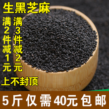 纯新货天然生芝麻 农家自产黑芝麻仁糊磨粉熟都有500g 生黑芝麻