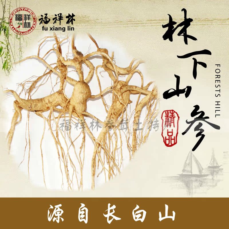 长白山林下参 东北野山参 移山参 十五年10克左右/支吉林特产包邮