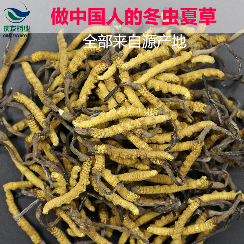 新店开业 特级纯天然那曲虫草王 2根1克西藏冬虫厦草