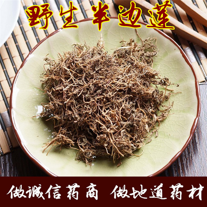 中药材  半边莲 100g 半边菊 半边花 新货半边莲 任意五件包邮