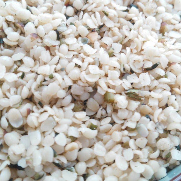 正品[人工智能技术应用]人工智能技术及应用评