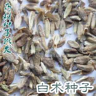 药材种子当归党参杜仲防风柴胡桔梗红花白术板蓝根黄芩黄芪 种子