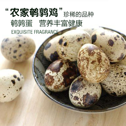 农家散养 新鲜生鹌鹑蛋 生鲜新鲜无添加宝宝孕妇辅食品 100枚包邮