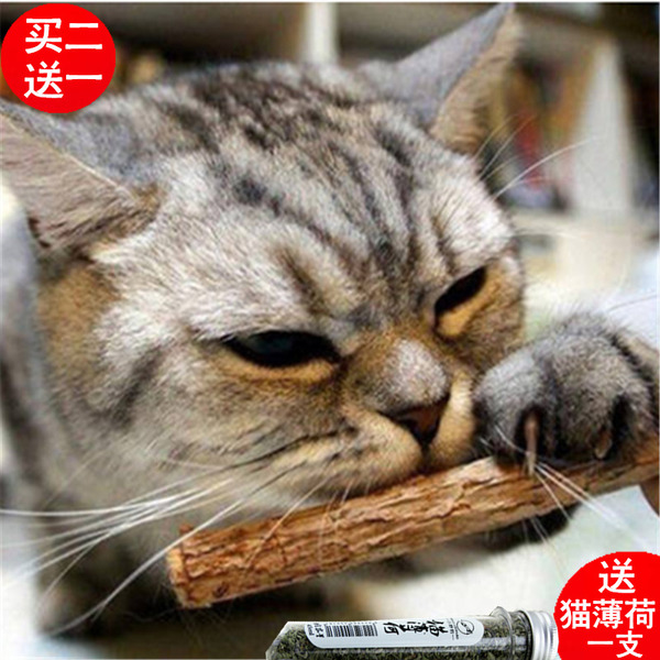 木天蓼棒猫零食猫咪用品猫磨牙棒洁齿棒猫薄荷