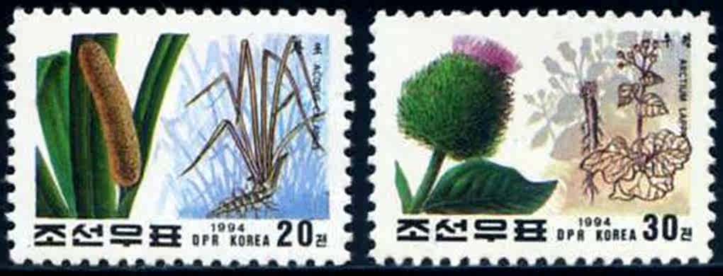 朝鲜邮票1994年药用植物-菖蒲好牛蒡子2全新 外国邮票