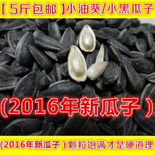 黑珍珠瓜子小瓜子鹦鹉鸟食饲料鸟粮仓鼠小金太阳和尚500G 生油葵