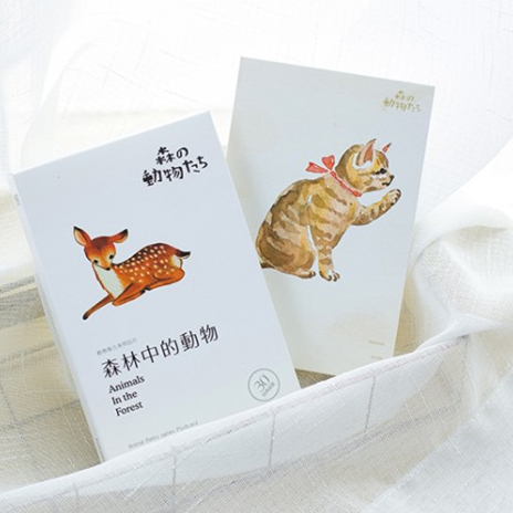 盒装明信片/森林中的动物/可爱萌兔猫咪松鼠美鹿小鸟雀礼品卡片