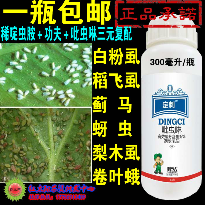 稀啶虫胺功夫70%吡虫啉蔬菜植物飞虱蚜虫蓟马飞虫特效杀虫杀卵剂