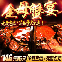 16只全母蟹 蟹澄居阳澄湖六月黄大闸蟹全母蟹现货鲜活螃蟹礼盒
