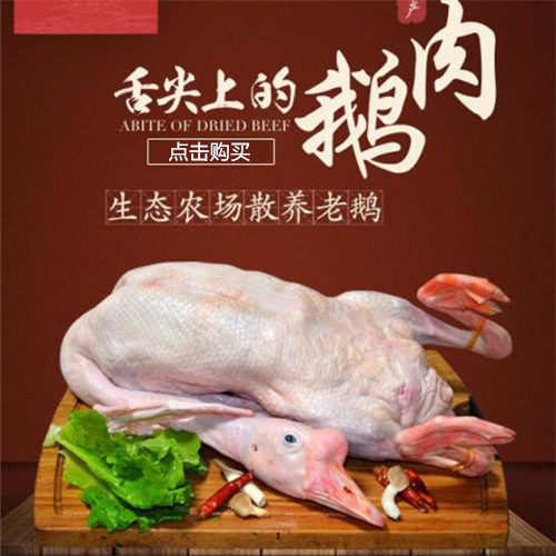 屋下鹅20/斤正宗散养新鲜现杀鹅肉7-10斤老鹅土鹅大鹅