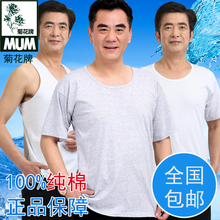中老年纯棉老人内衣男老头衫 纯棉背心全棉夏季汗布短袖 菊花牌汗衫