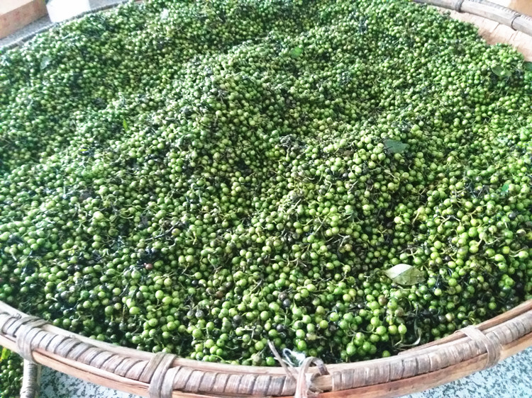 新鲜山胡椒籽农家晒制 干山胡椒山苍子干木姜子油原材料火锅调料