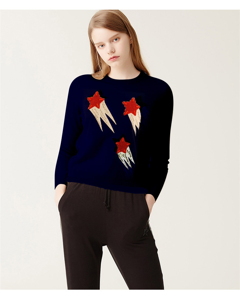 正品[百家讲坛阎崇年]阎崇年百家讲坛全集评测